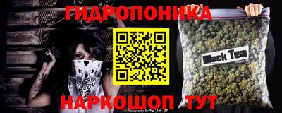 шишки Конаково