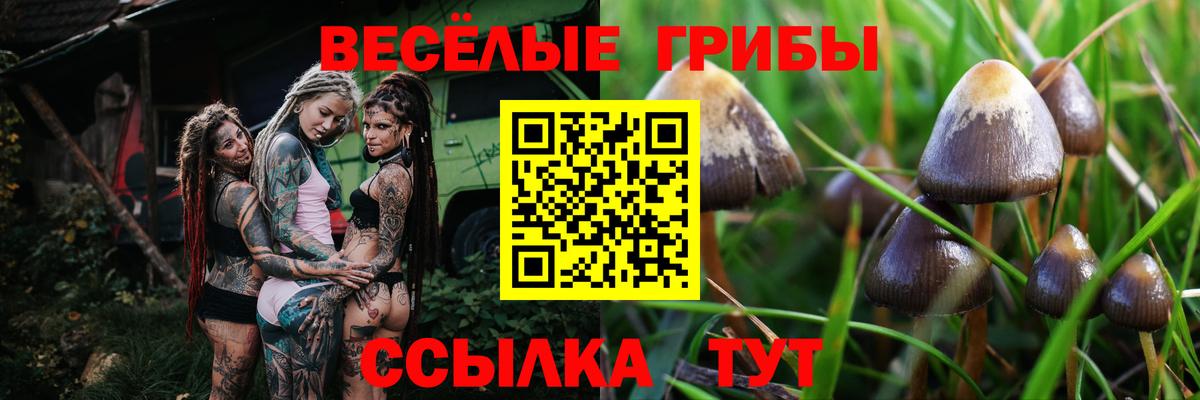 как найти закладки  Вход с VPN  Краснодар  Галлюциногенные грибы прущие грибы 